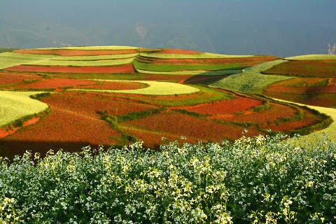 Dongchuan-Roterde