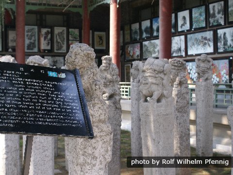 Das Stele-Wald Museum 