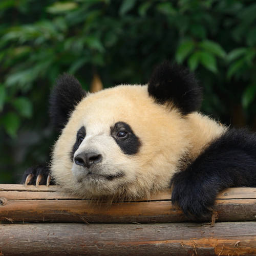 China Reise individuell