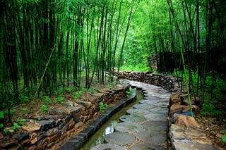 Jinyun Berg,  ein nationales Landschaftsgebiet in Chongqing