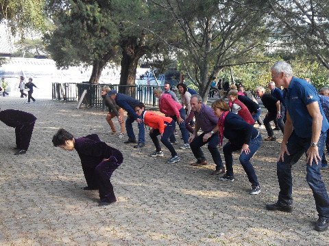 Chi und Chigong, die Theorie von Qigong