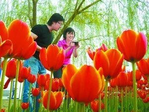 Beijing-Wetter im März, Wettertipps für Touristen 