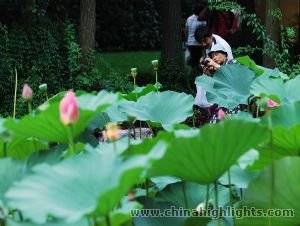 Kunming Wetter, das Klima in Kunming